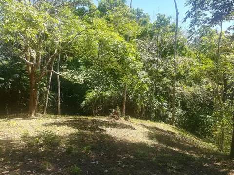 Jungle View Property in Delicias in Delicias, Costa Rica