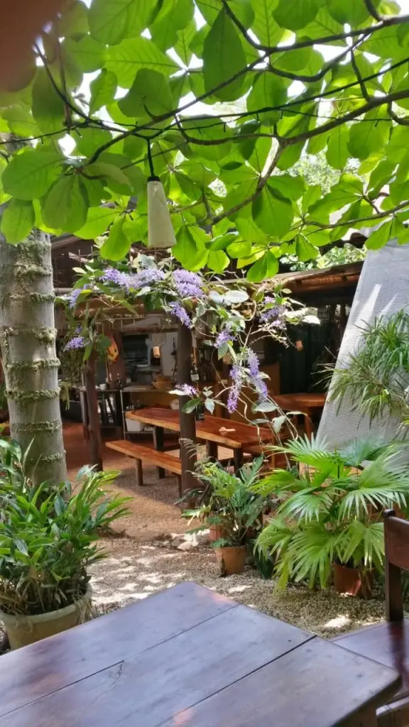Charming Home & Restaurant in Montezuma photo 24