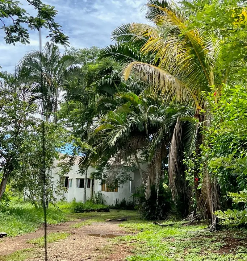 Jungle Oceanview Villa photo 2