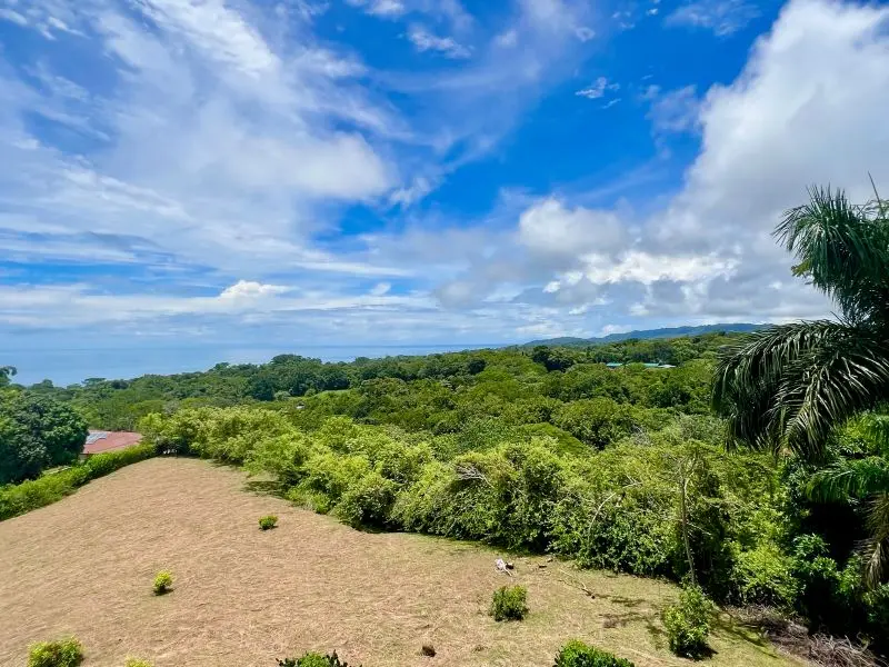 Jungle Oceanview Villa photo 22