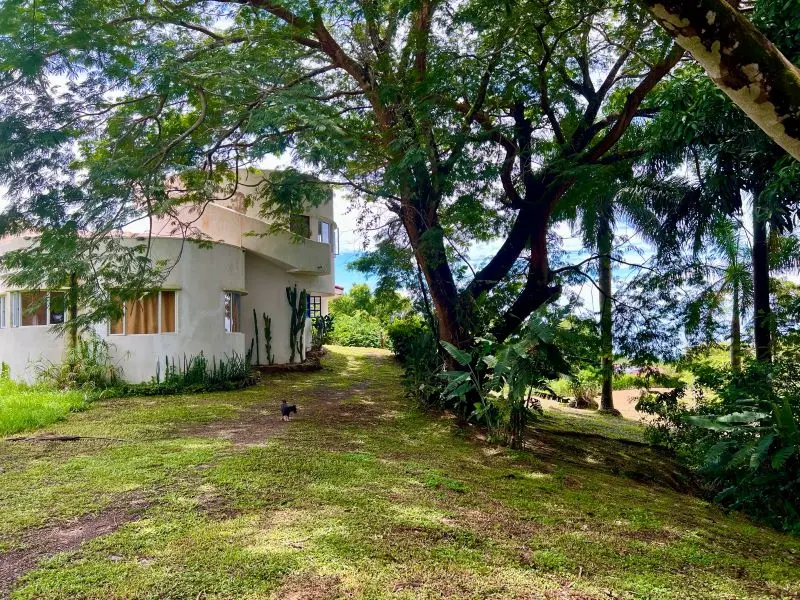 Jungle Oceanview Villa photo 18