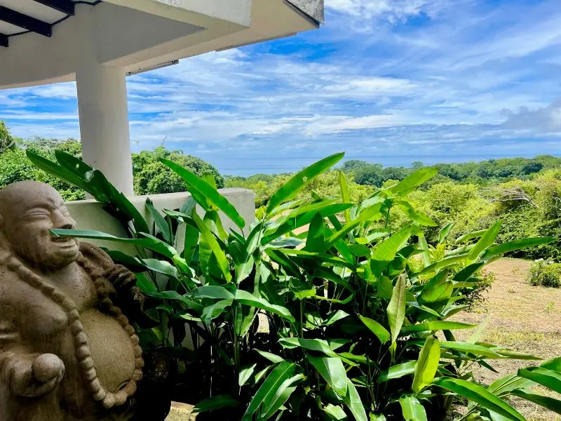 Jungle Oceanview Villa photo 3