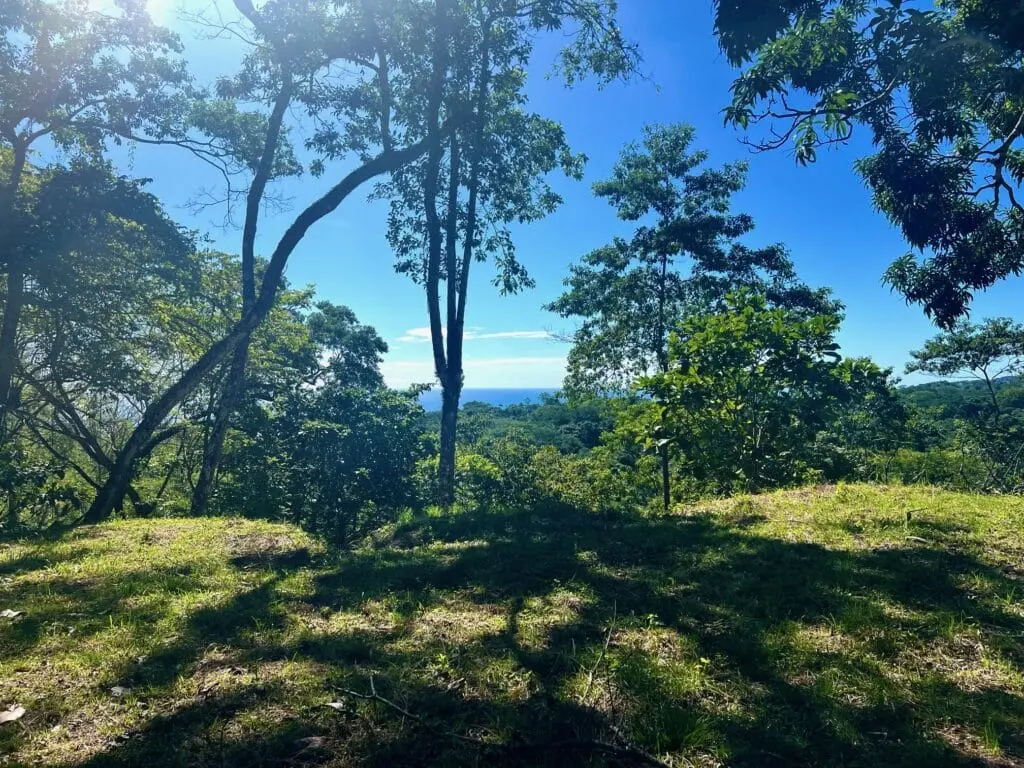 Delicias Oceanview Lot photo 2