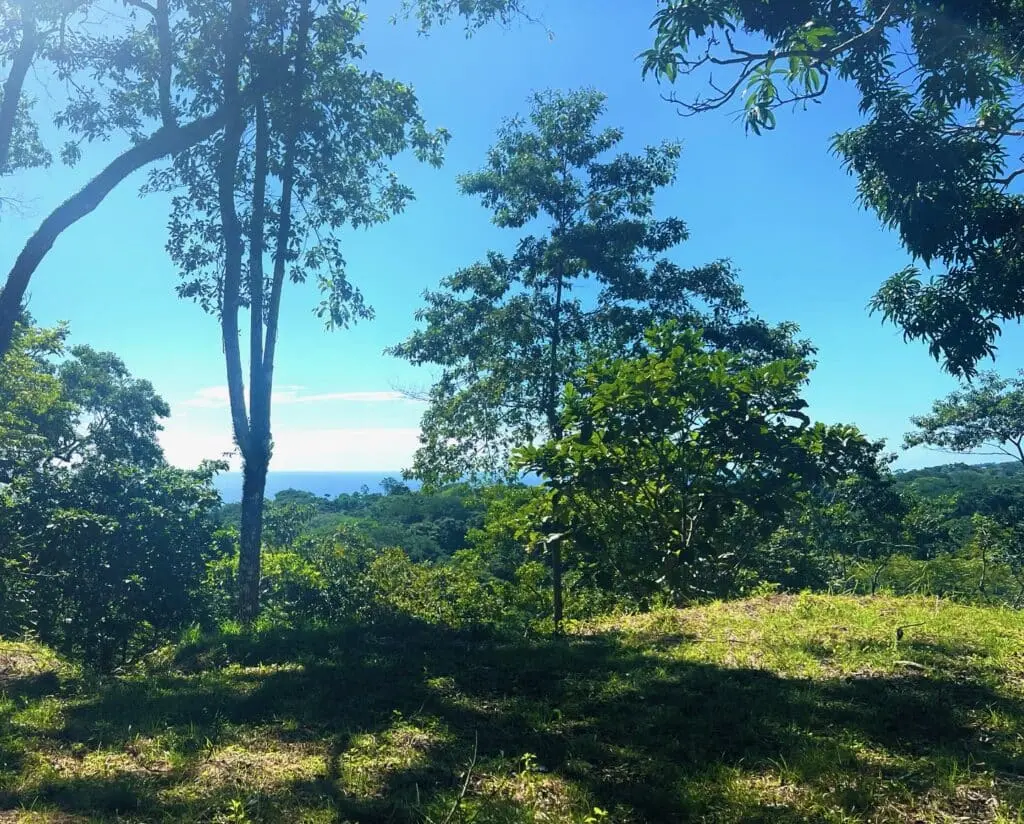 Delicias Oceanview Lot photo 3