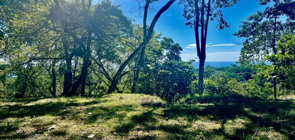 Delicias Oceanview Lot photo 4