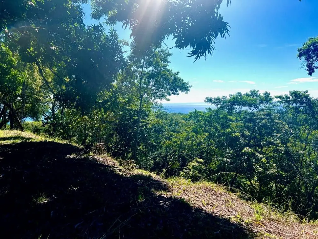 Delicias Oceanview Lot photo 6