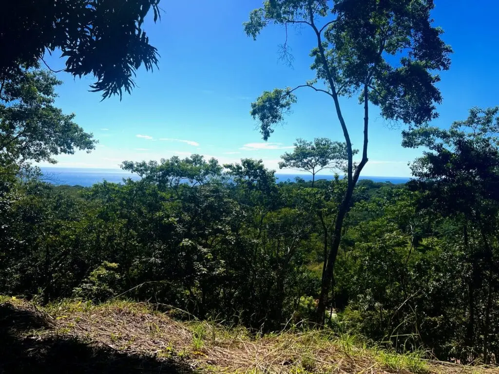 Delicias Oceanview Lot photo 7