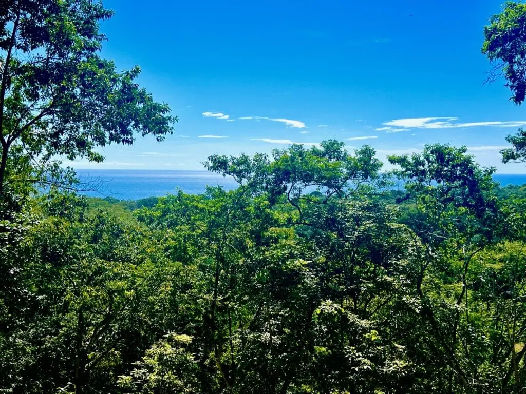 Delicias Oceanview Lot photo 8