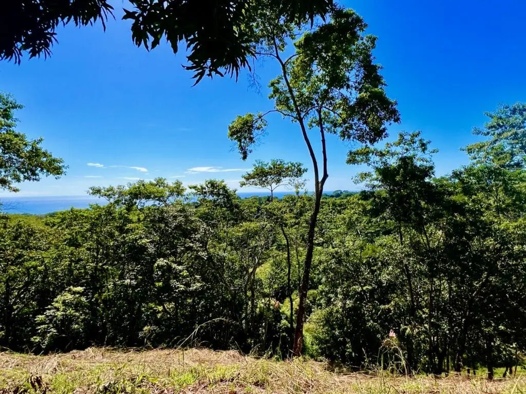 Delicias Oceanview Lot photo 9