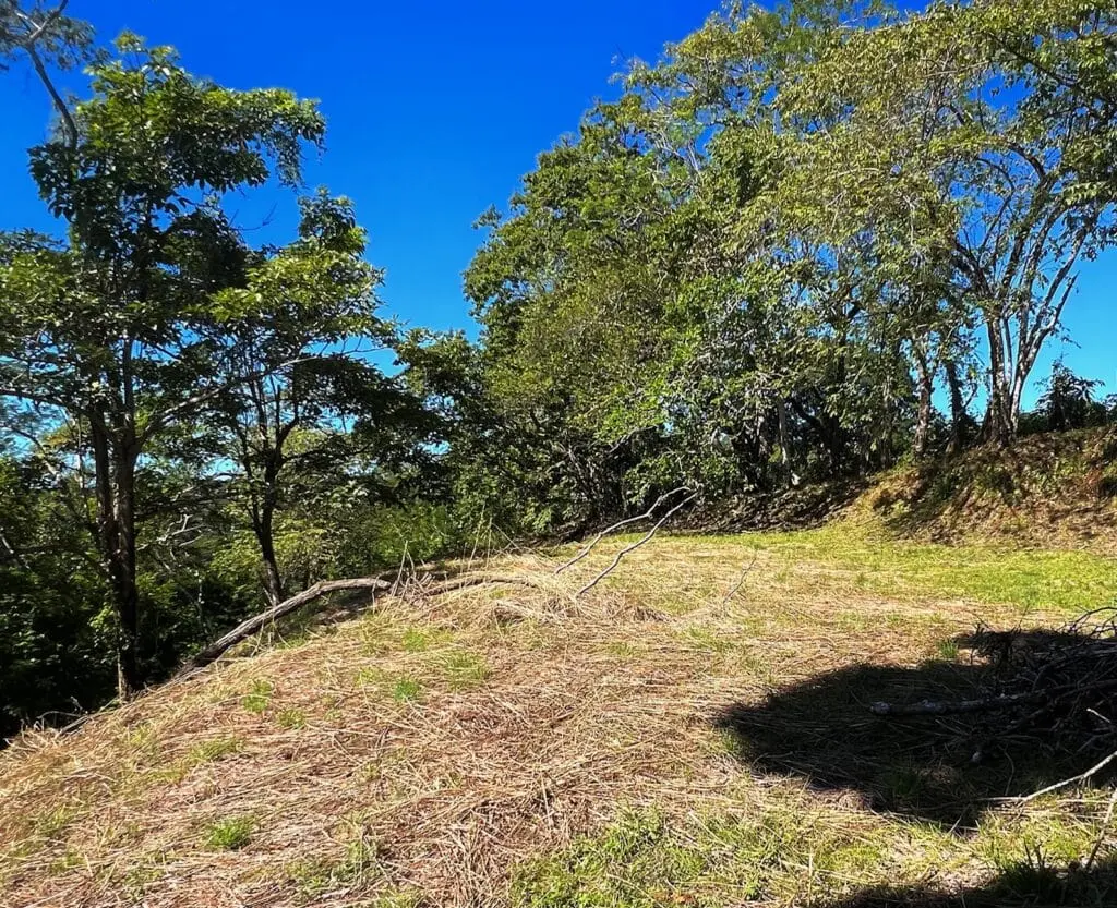Delicias Oceanview Lot photo 15