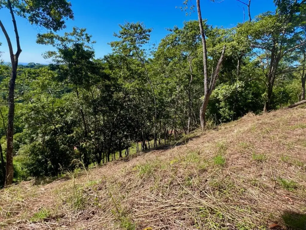 Delicias Oceanview Lot photo 10