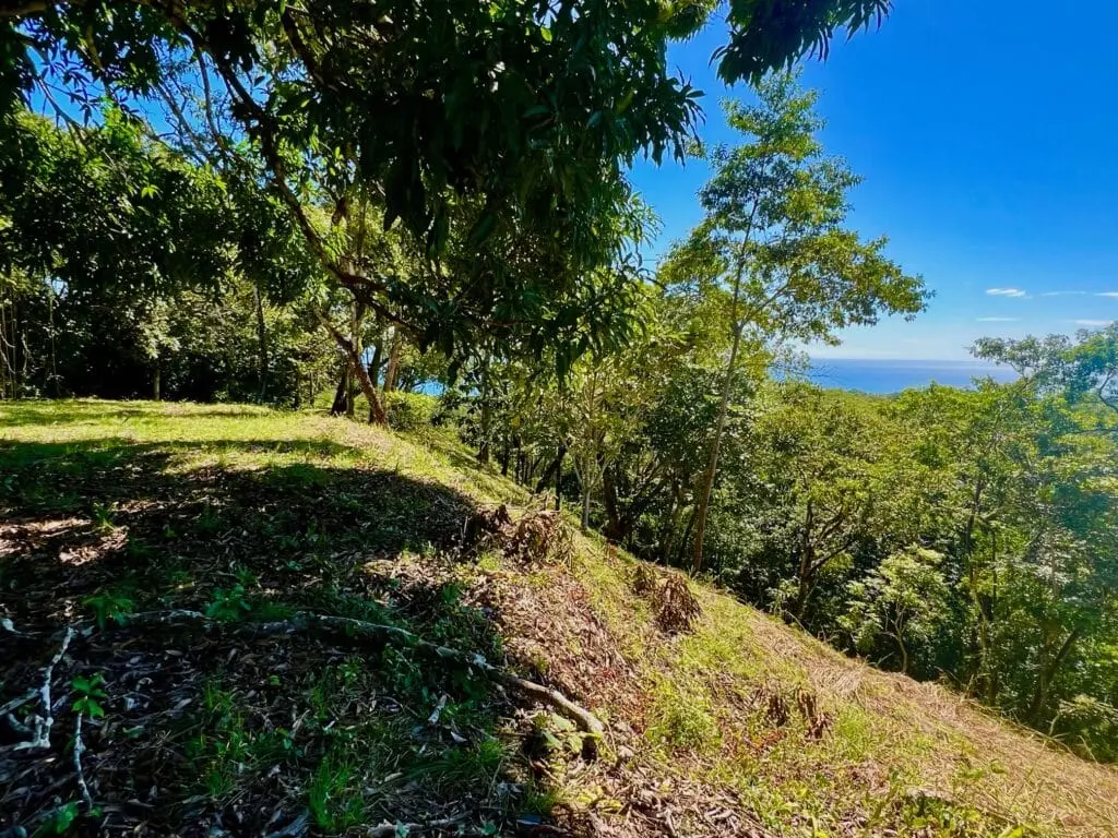 Delicias Oceanview Lot photo 11