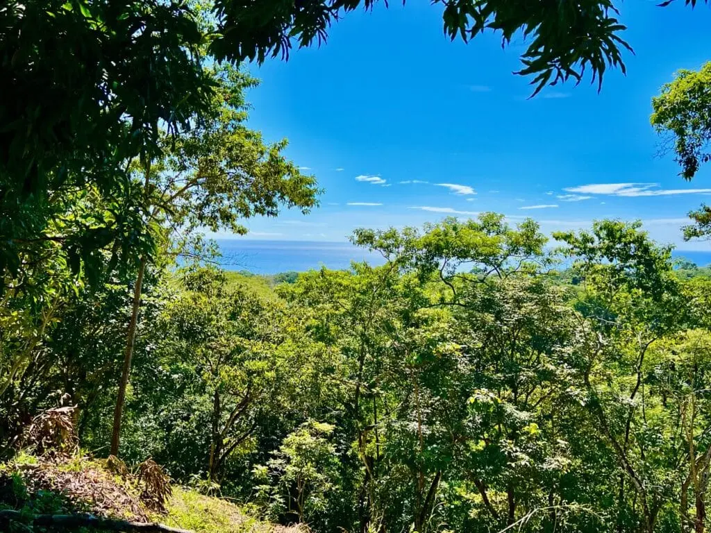 Delicias Oceanview Lot photo 13
