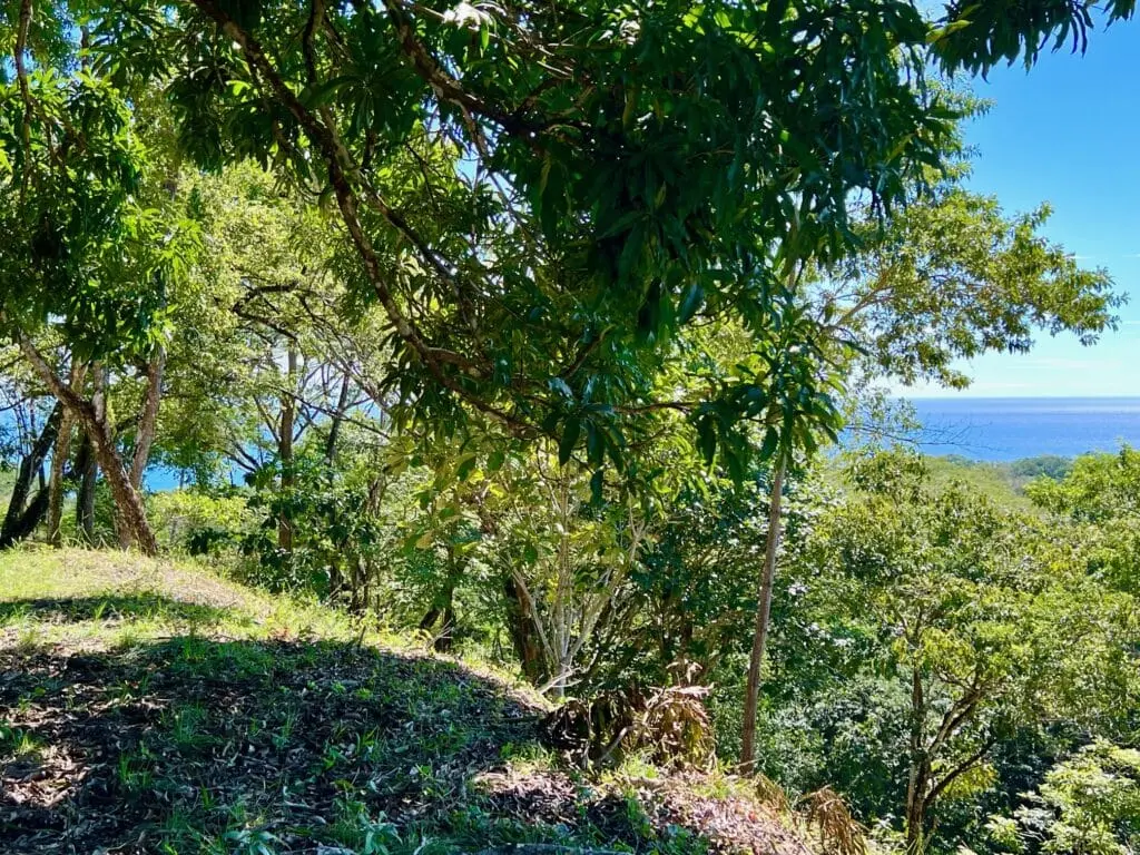 Delicias Oceanview Lot photo 14
