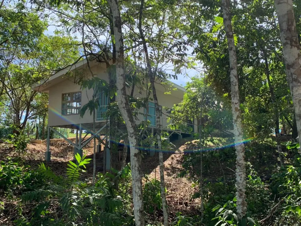Eco-Friendly Home in Las Delicias photo 5