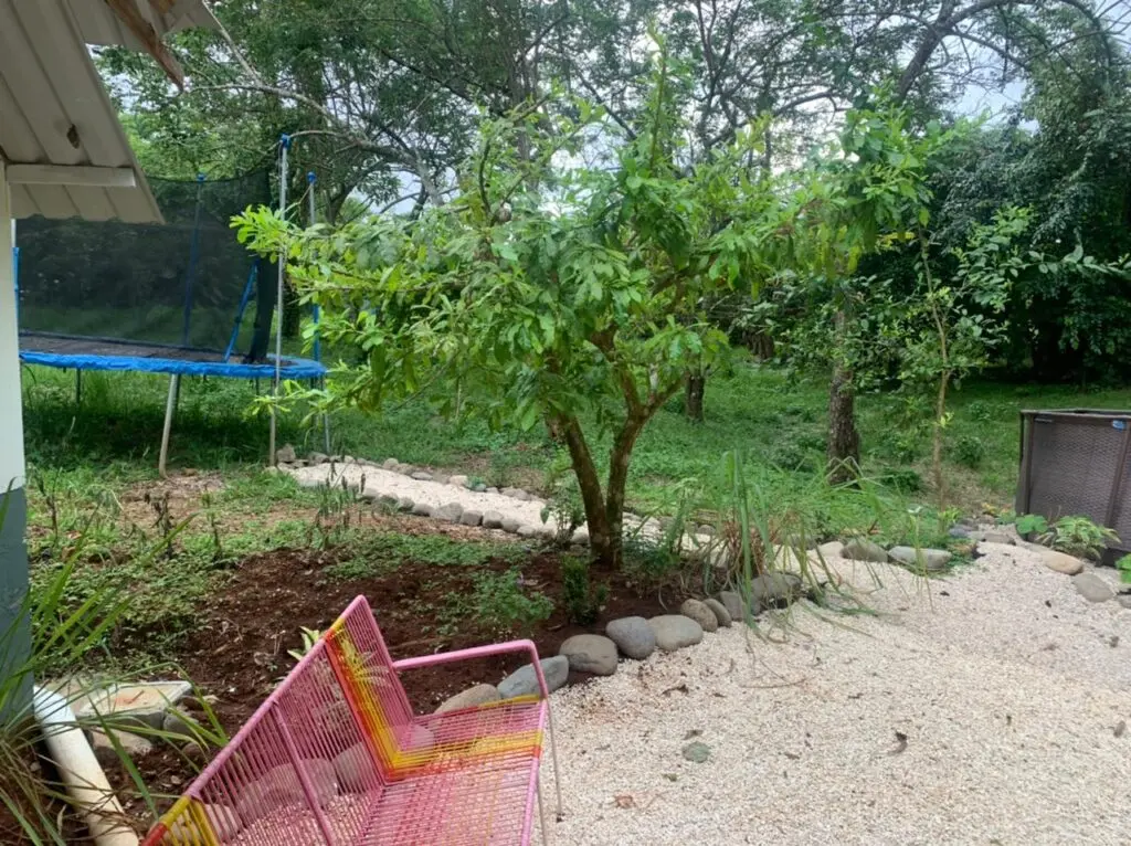 Eco-Friendly Home in Las Delicias photo 38