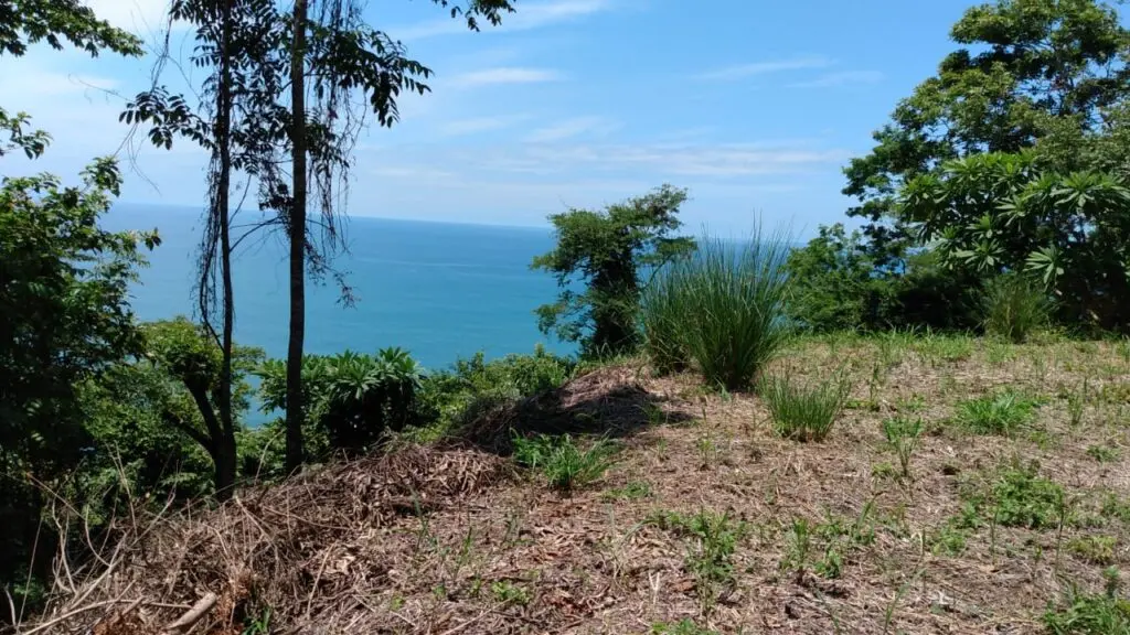 Ocean View Commercial Lot photo 9