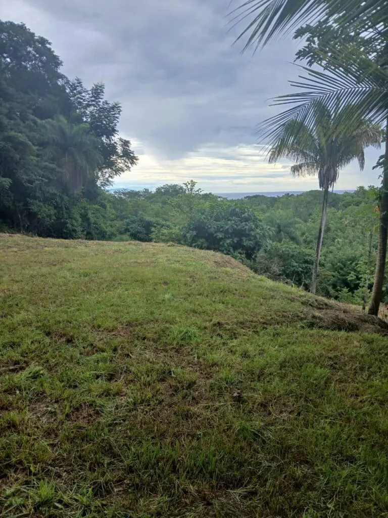Prime Las Delicias Commercial Property photo 3
