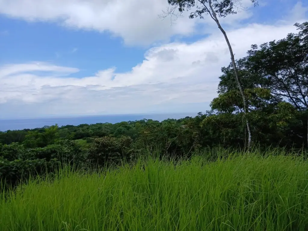 Prime Las Delicias Commercial Property photo 2