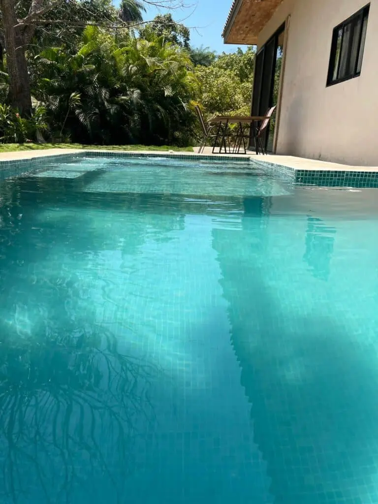 Prime Las Delicias Commercial Property photo 10