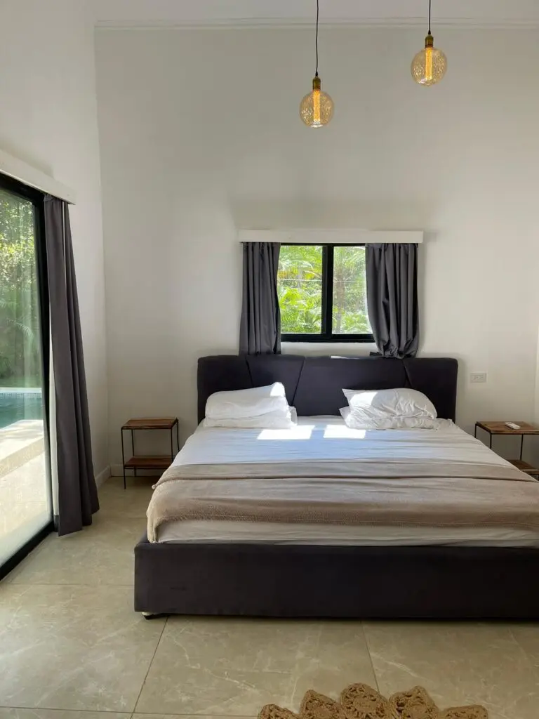 Prime Las Delicias Commercial Property photo 7