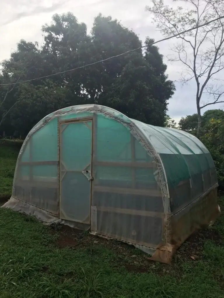Serene Lot with Unique Home in Las Delicias photo 15