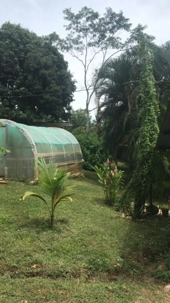 Serene Lot with Unique Home in Las Delicias photo 14