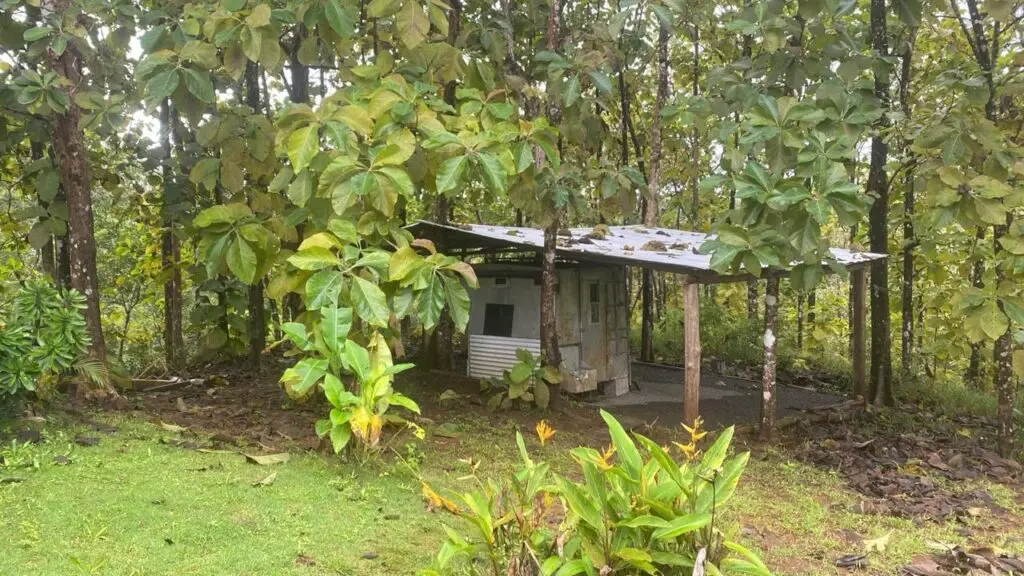 Serene Lot with Unique Home in Las Delicias photo 16
