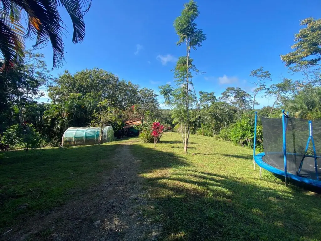 Serene Lot with Unique Home in Las Delicias photo 13