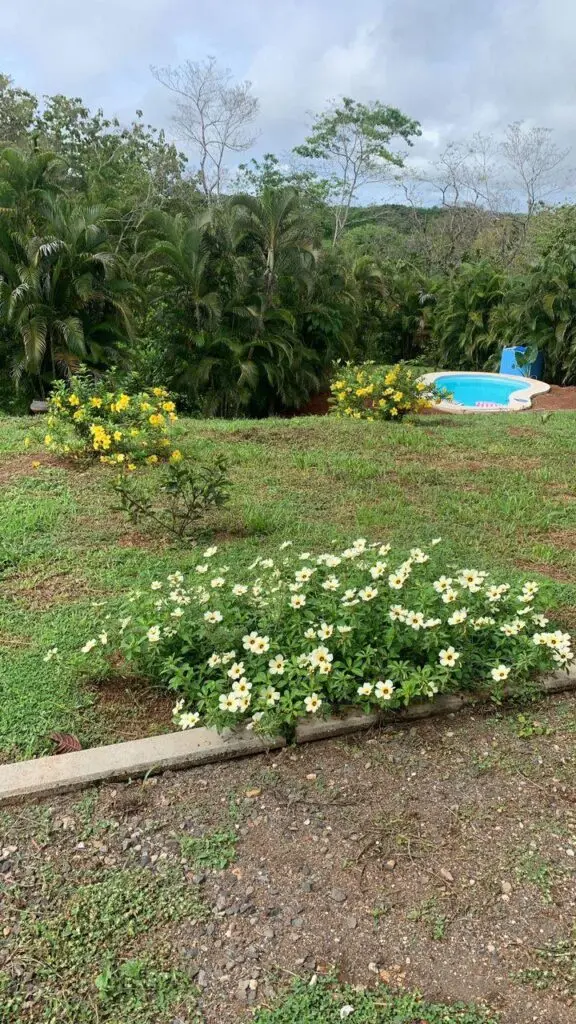 Las Delicias 2BR Home with Pool photo 12