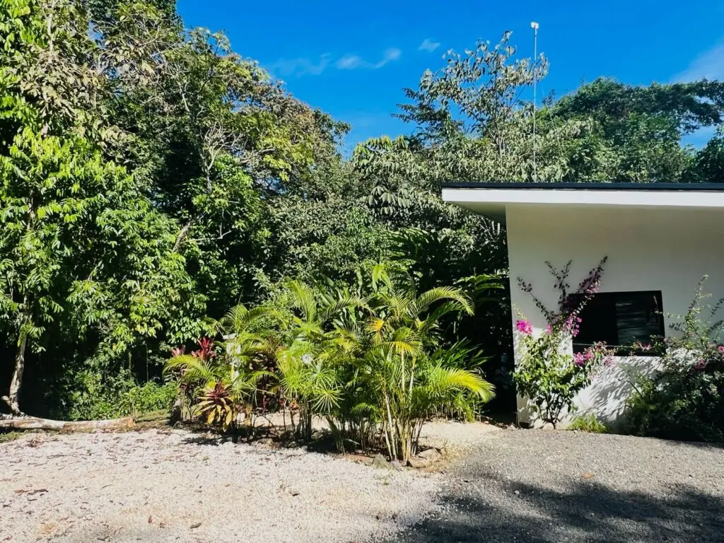 Las Delicias Jungle Retreat photo 26
