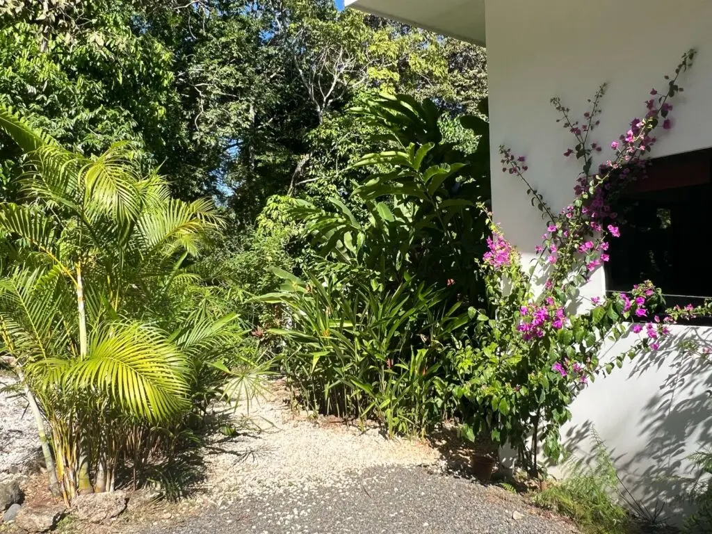 Las Delicias Jungle Retreat photo 15
