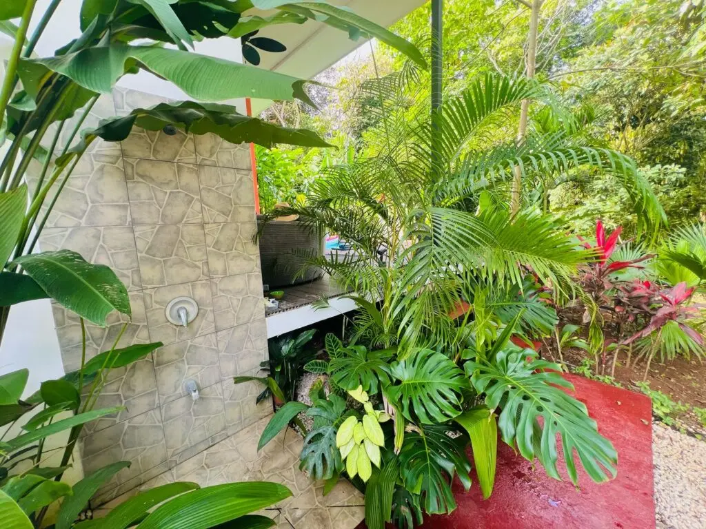 Las Delicias Jungle Retreat photo 17