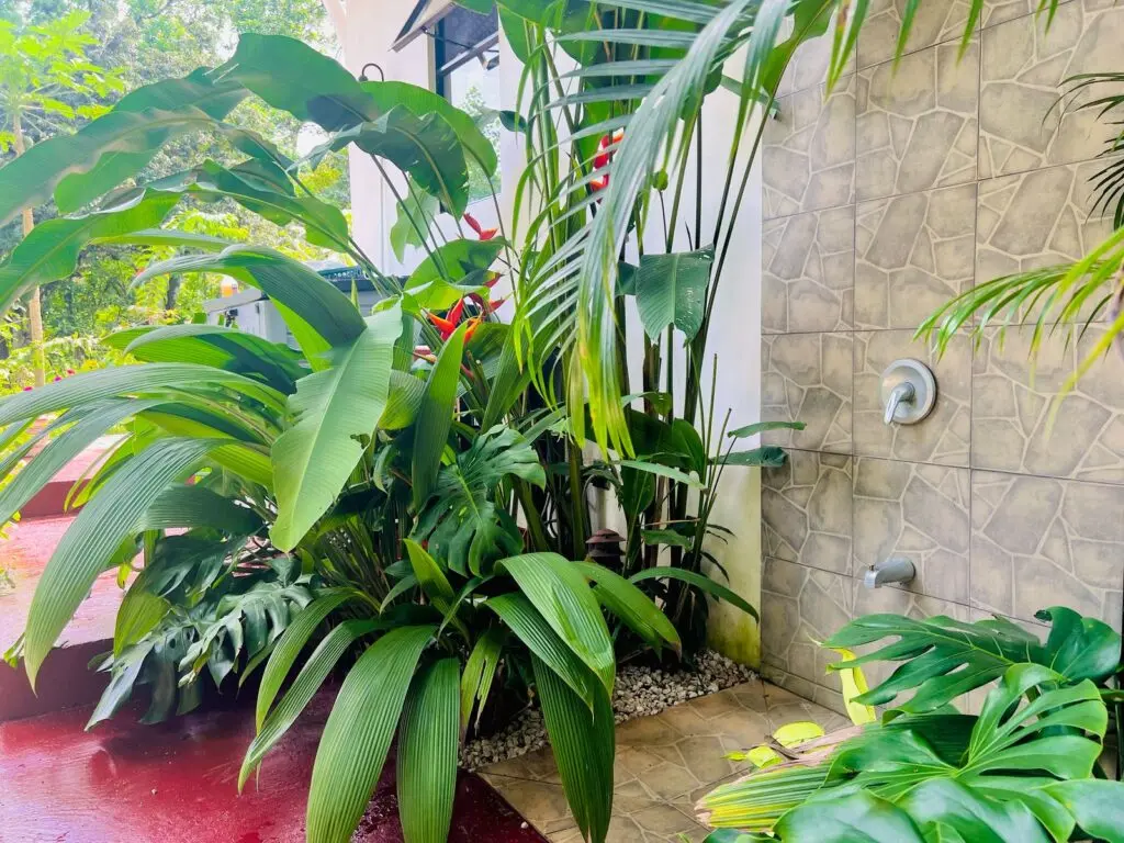 Las Delicias Jungle Retreat photo 18
