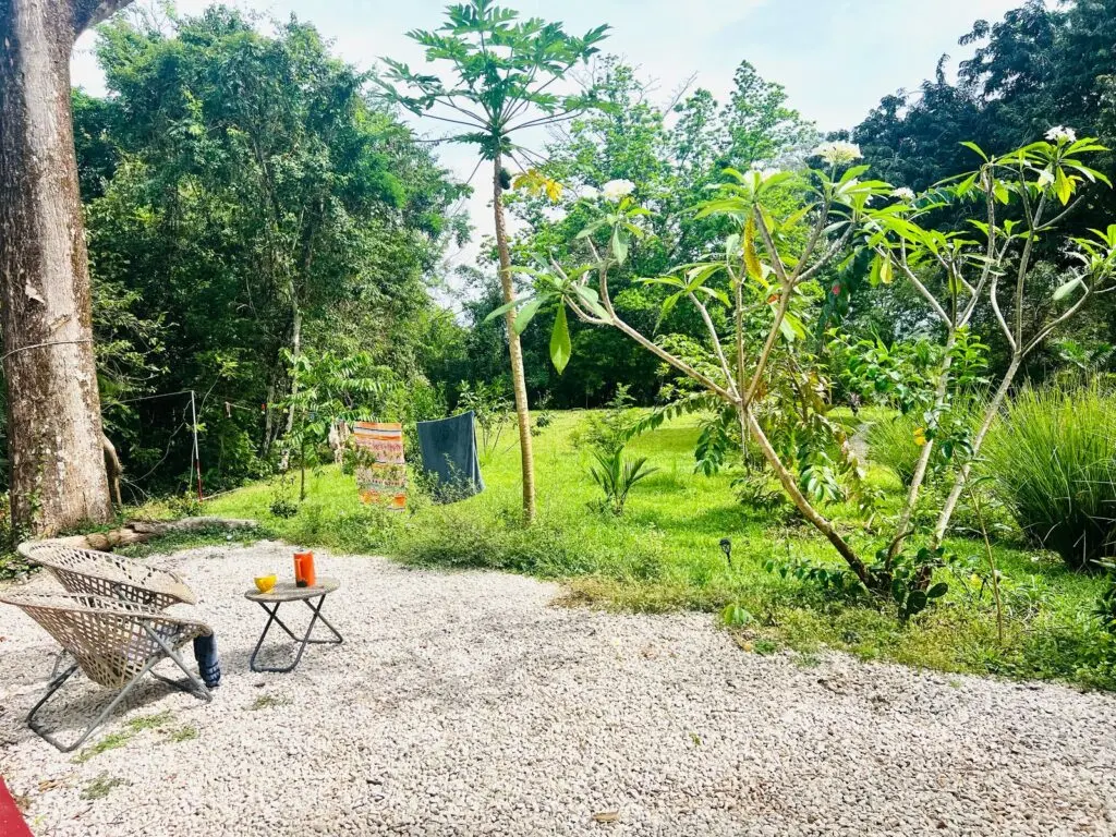 Las Delicias Jungle Retreat photo 20