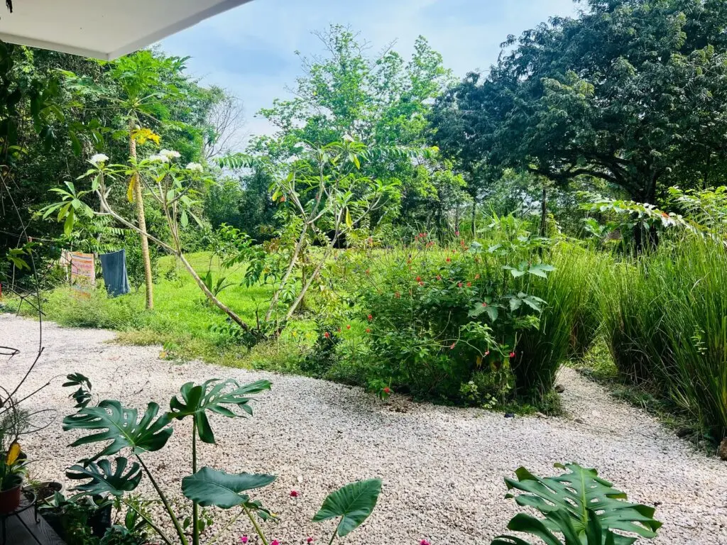 Las Delicias Jungle Retreat photo 21
