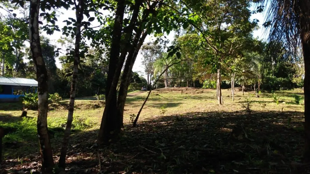 Tranquil Las Delicias Home photo 6