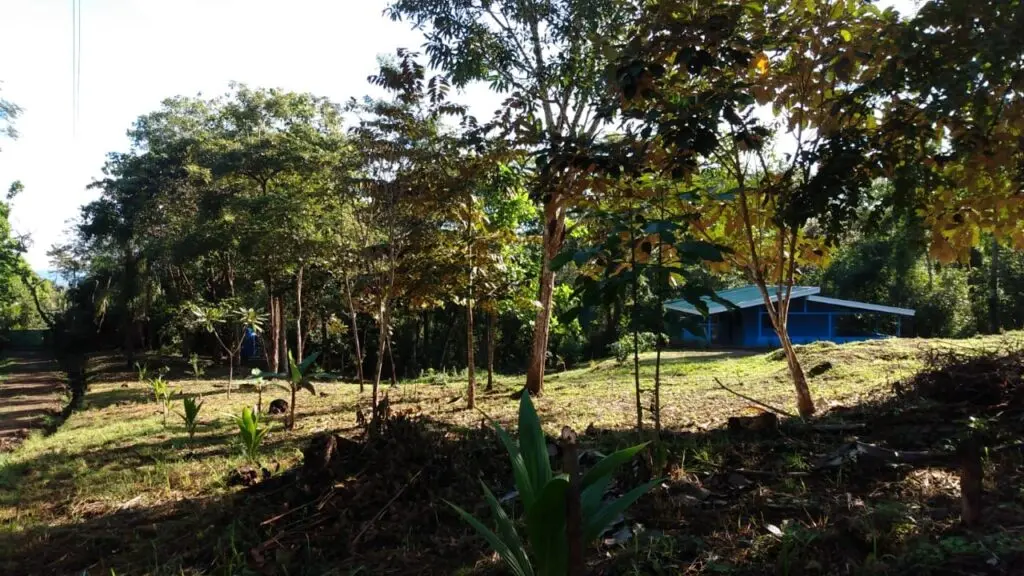 Tranquil Las Delicias Home photo 5