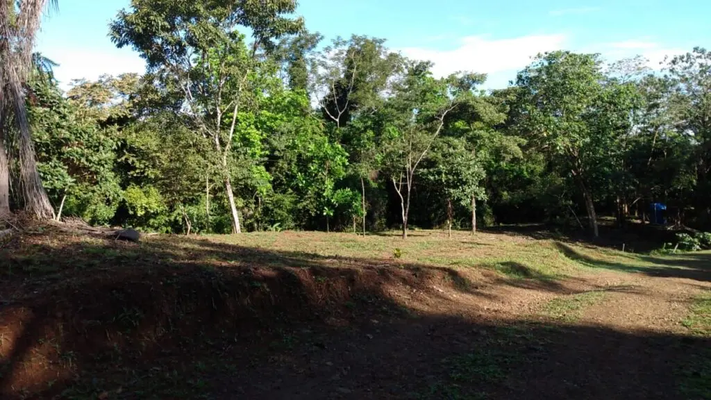 Tranquil Las Delicias Home photo 3