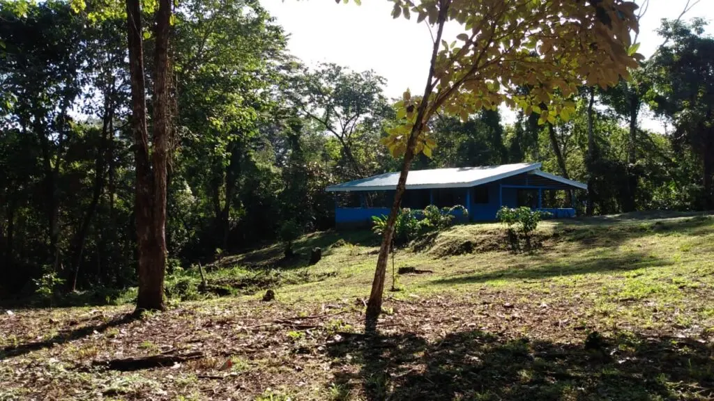 Tranquil Las Delicias Home photo 2