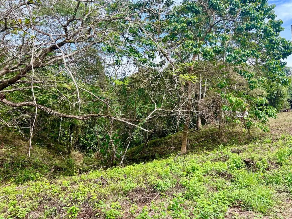 Stunning House in Las Delicias photo 2