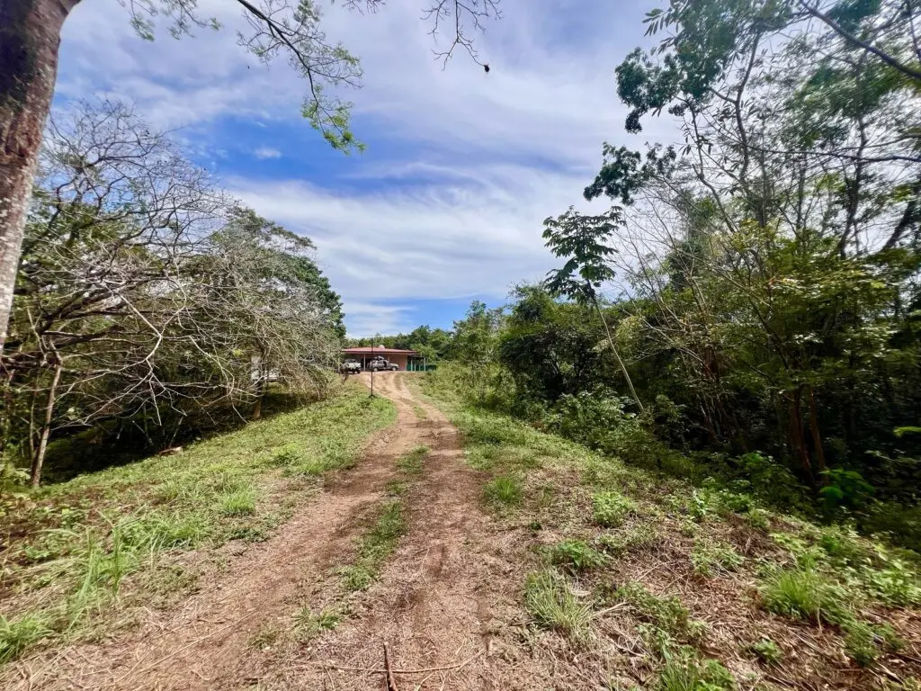 Stunning House in Las Delicias photo 6