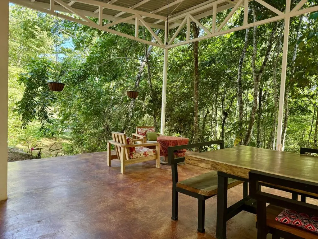 Agua Selva Estate: 5-Acre Blue Zone Jewel photo 3