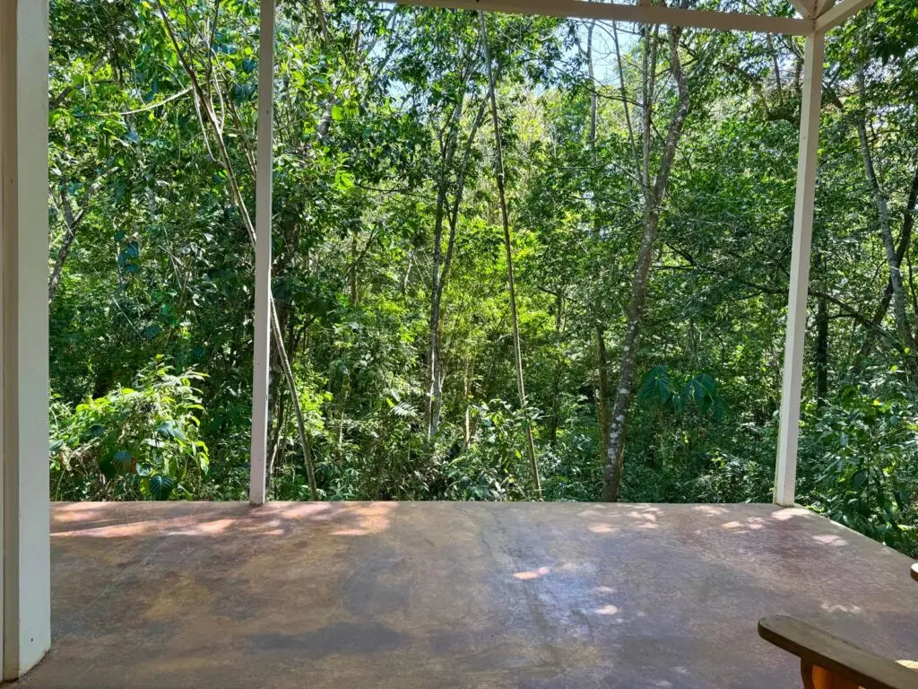 Agua Selva Estate: 5-Acre Blue Zone Jewel photo 4