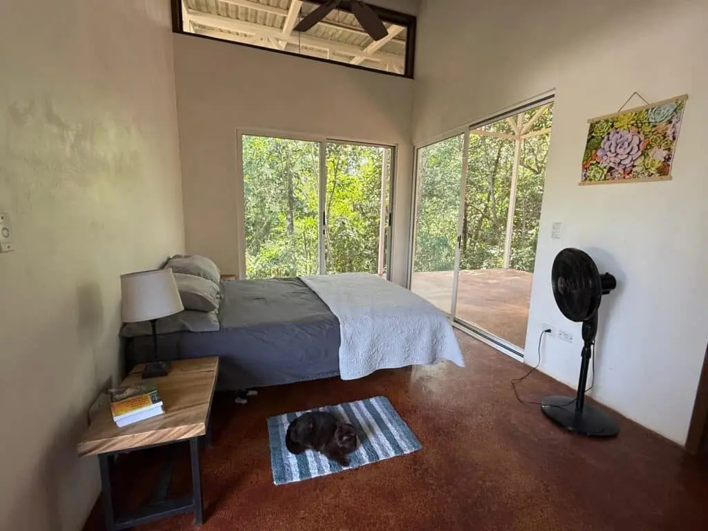 Agua Selva Estate: 5-Acre Blue Zone Jewel photo 5
