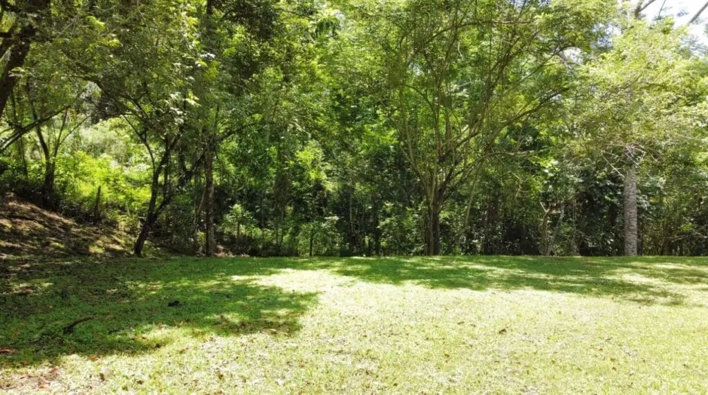 1.2-Hectare Lot in Delicias photo 2