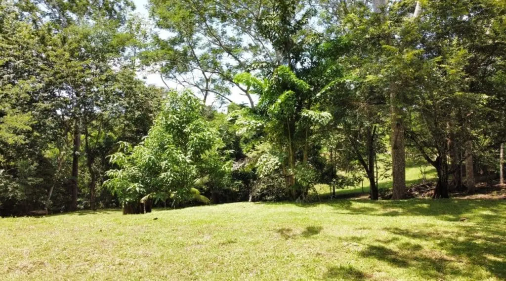 1.2-Hectare Lot in Delicias photo 3