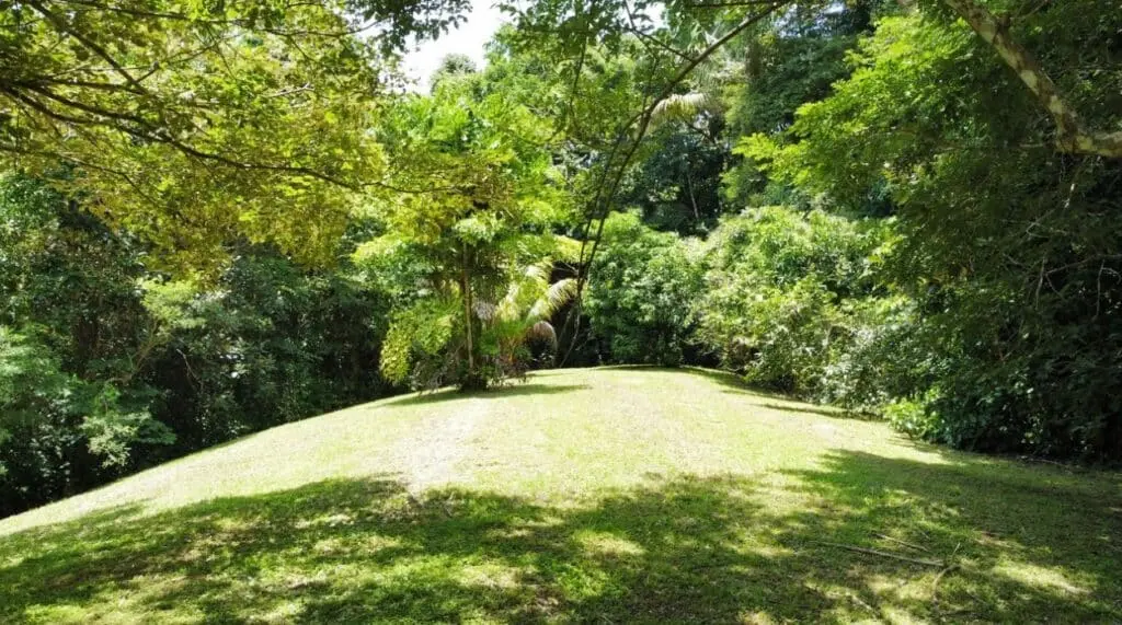 1.2-Hectare Lot in Delicias photo 4