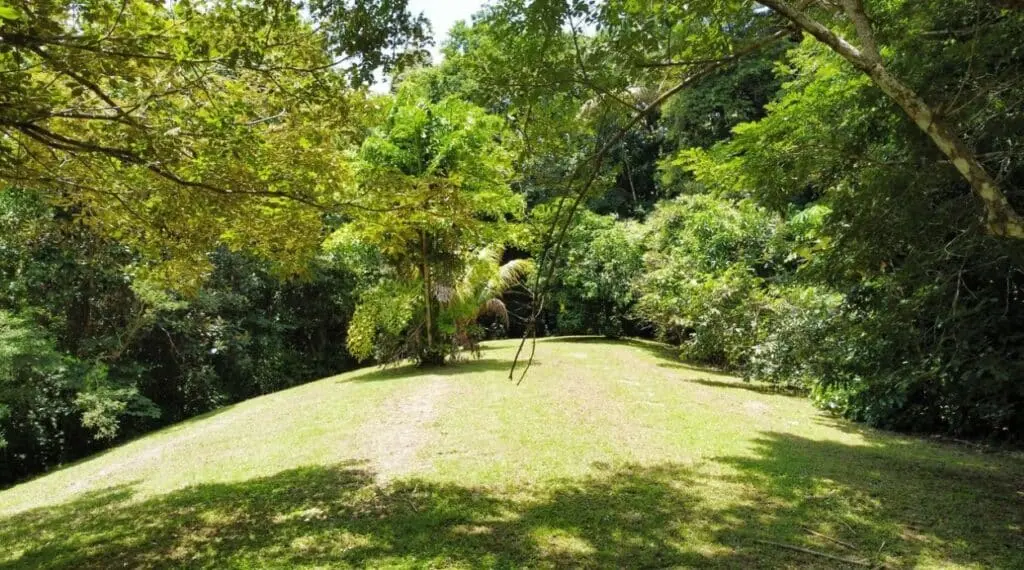 1.2-Hectare Lot in Delicias photo 5