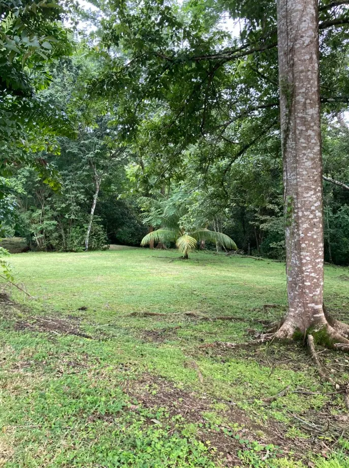 1.2-Hectare Lot in Delicias photo 6